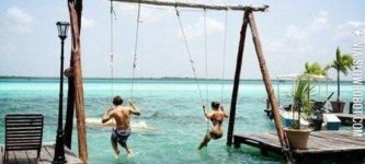 Swinging+in+paradise