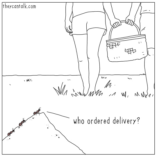 delivery