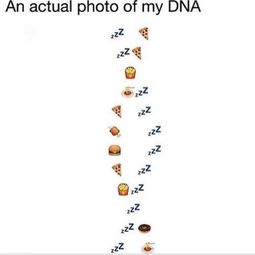 An+actual+photo+of+my+DNA