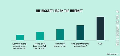 The+biggest+lies+on+the+Internet.