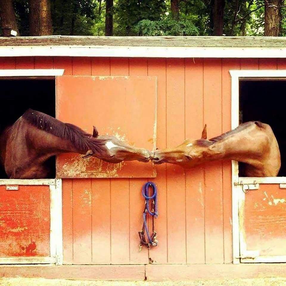 What A Stable Relationship Looks Like 