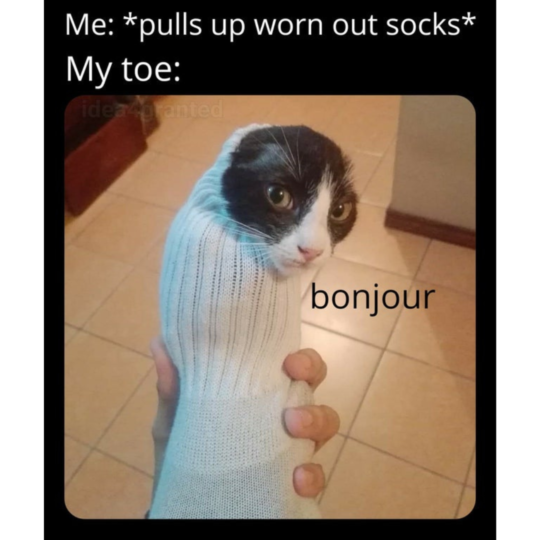 bonjour