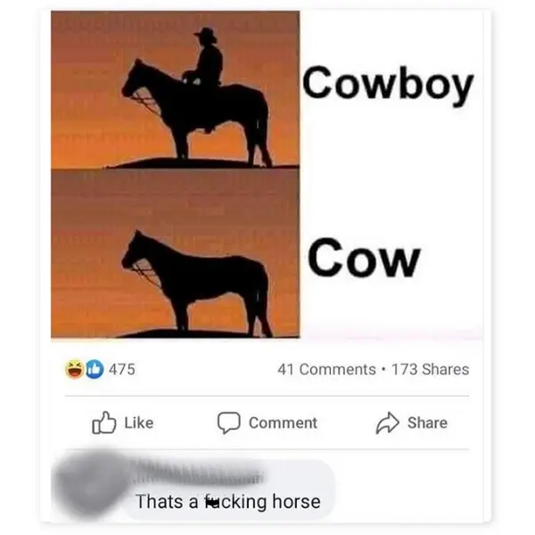 a+hoarse+cow