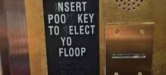 who+are+you+electing+as+your+floop%3F