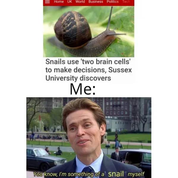 snail%26%238217%3Bs+pace