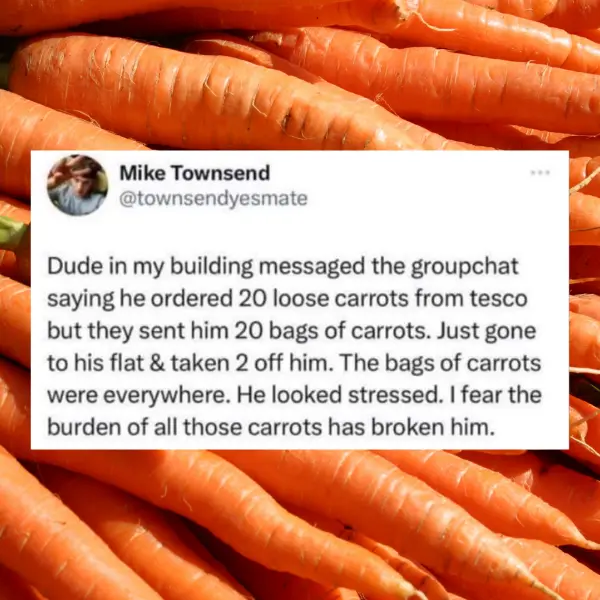 carrot+conundrum