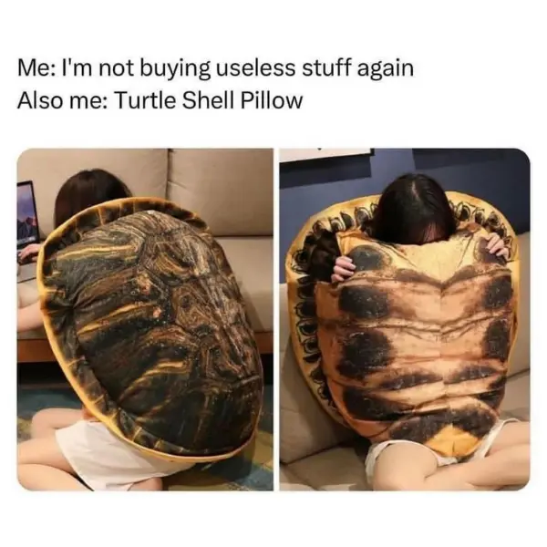 turtle+power