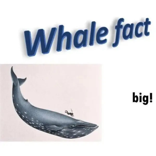 big+fact