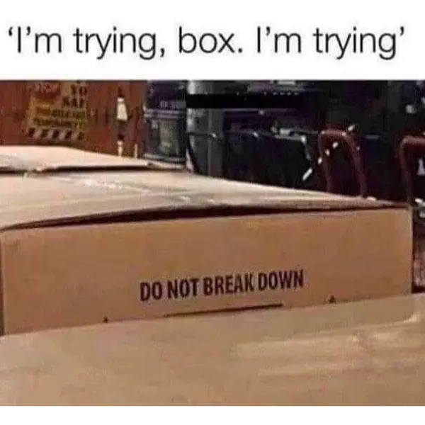 boxed+in