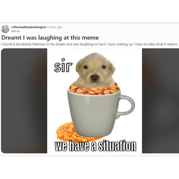 dreaming+of+meming