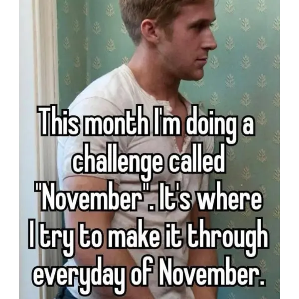 no-vember